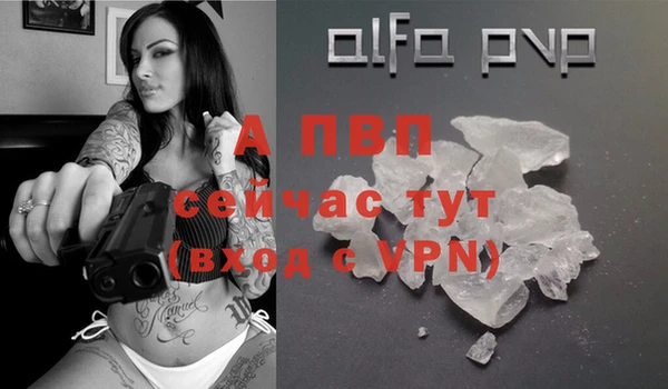 индика Медвежьегорск
