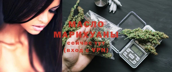 индика Медвежьегорск
