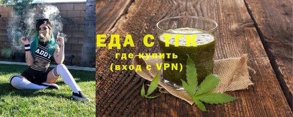 индика Медвежьегорск