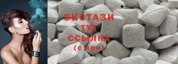 индика Медвежьегорск