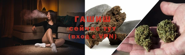 прущие крисы Тында