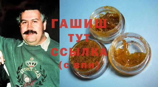 индика Медвежьегорск
