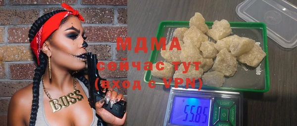 индика Медвежьегорск