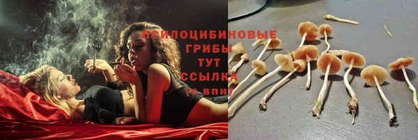 ешки Медногорск