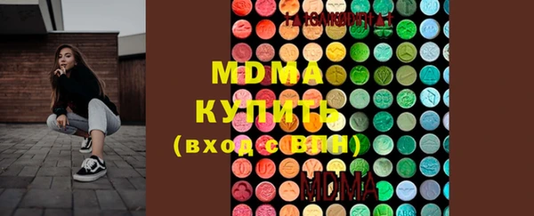 индика Медвежьегорск