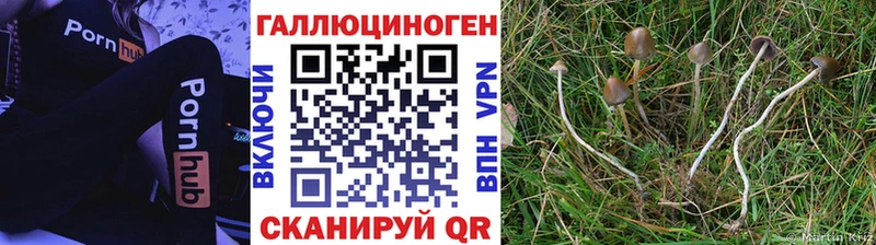 Псилоцибиновые грибы MAGIC MUSHROOMS  Дубовка 